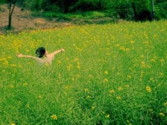 加工精密機械零件