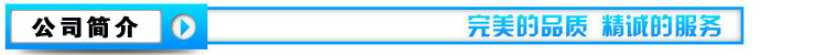 公司簡介